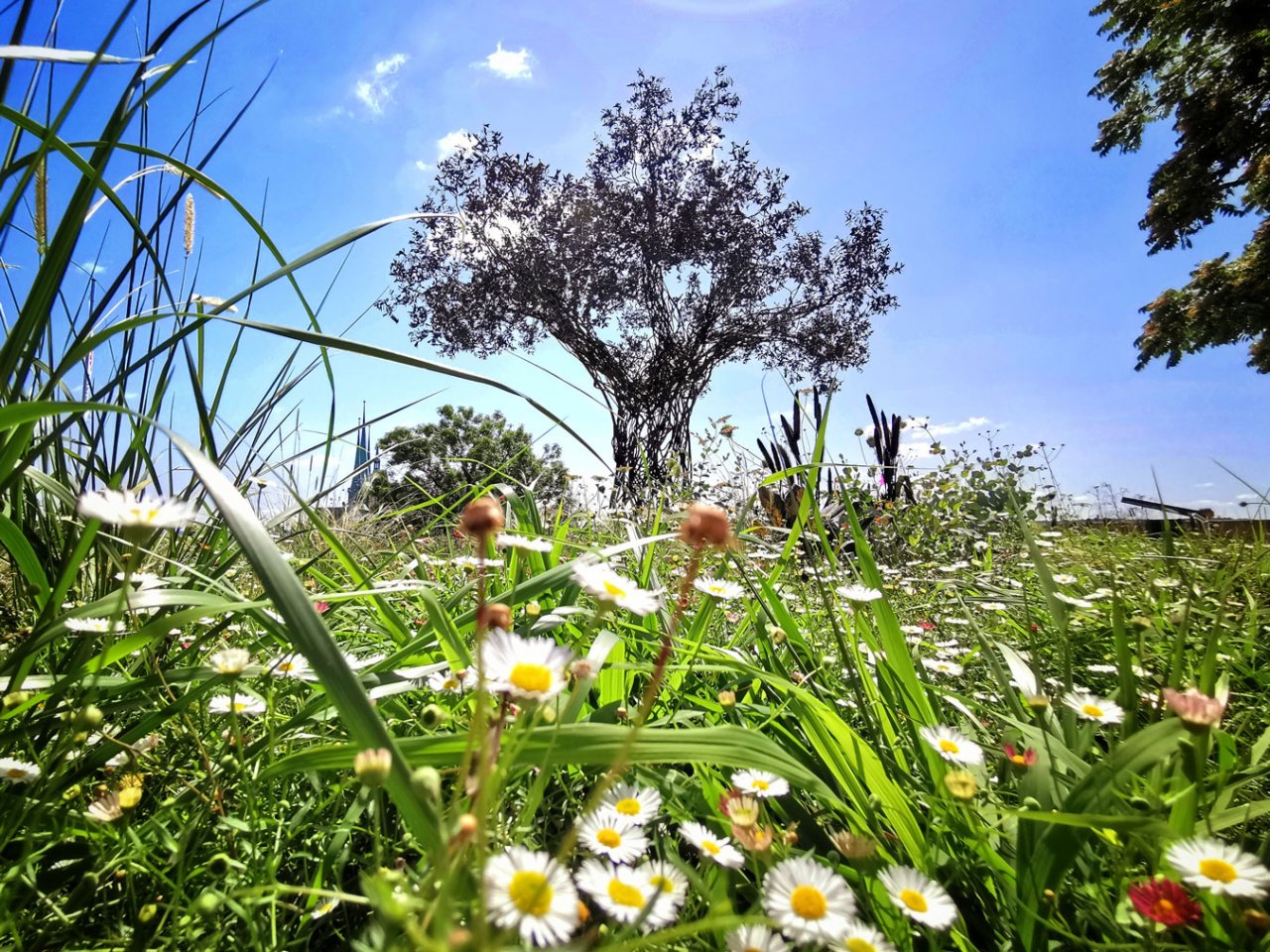 Paradiesbaum Erfurt · Mein Blatt. Unser Baum.