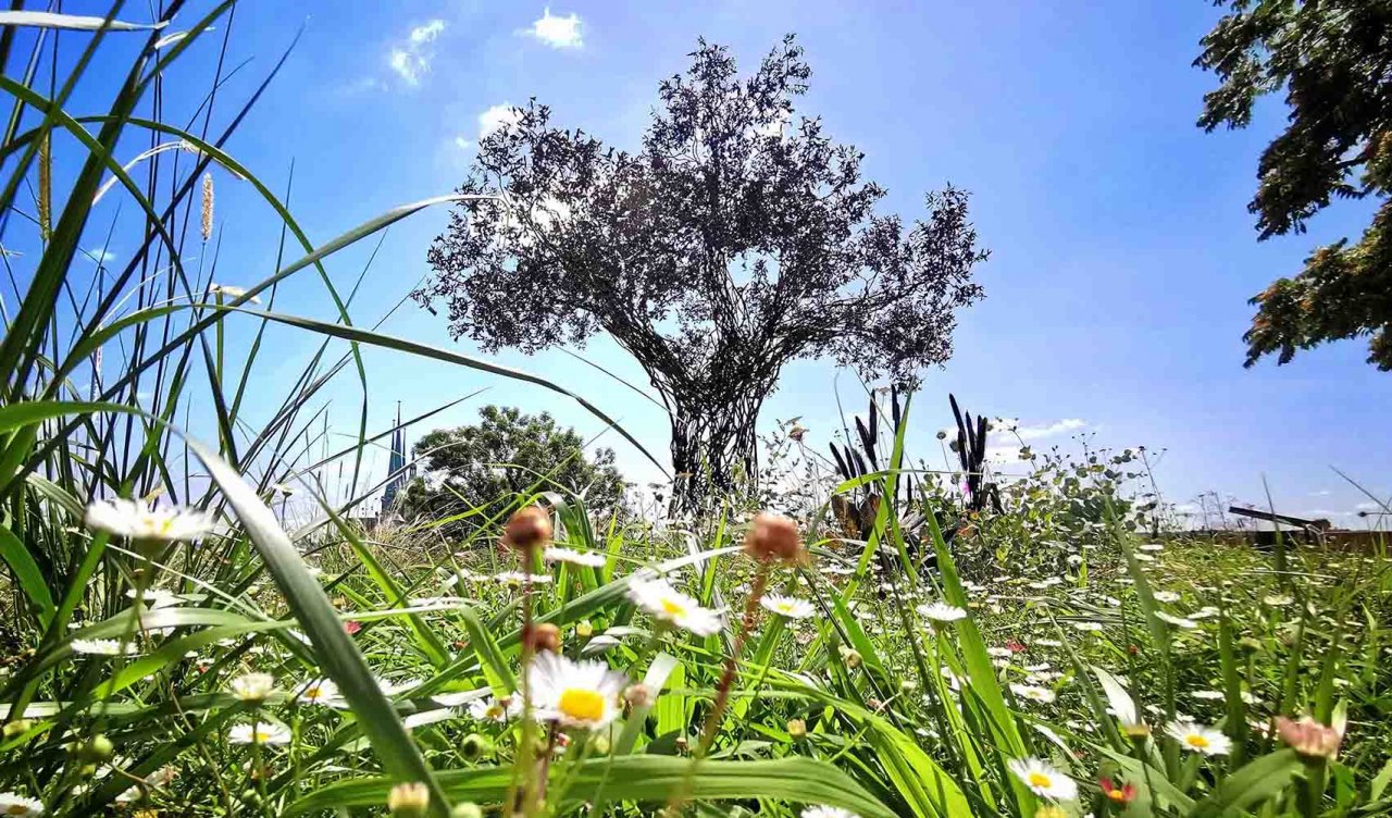 Bring dein Blatt – Mein Blatt. Unser Baum